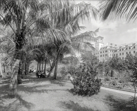 Photo showing: Coconut Alley -- Palm Beach, Fla., circa 1894. Hotel Royal Poinciana, Lake Worth.