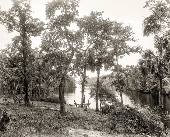 Photo showing: On the Tomoka -- Florida circa 1894. Misenor's Landing on the Tomoka.