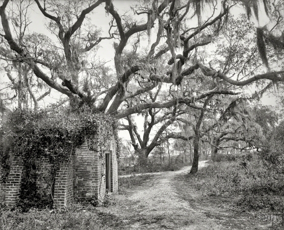 Photo showing: Chicora Park -- Charleston, South Carolina, circa 1901.
