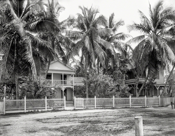 Photo showing: Key West: 1900 -- Residence in palm grove -- Key West, Florida.