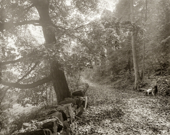 Photo showing: The Shortcut -- Monroe County, Pennsylvania, circa 1900. Riverside drive, Delaware Water Gap.
