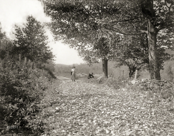Photo showing: Lady of the Leaves -- Mount Pocono, Pennsylvania, circa 1900. Near Mount Pleasant.