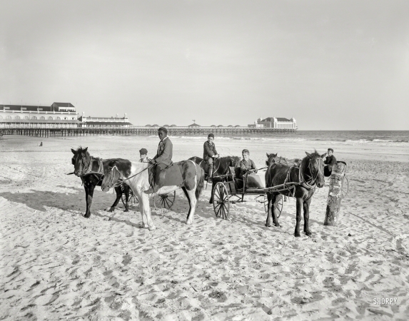 Photo showing: Marlburro Country -- The Jersey Shore circa 1905. Ponies on the beach at Atlantic City.