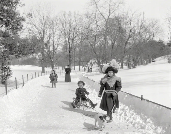 Photo showing: Iditarod East -- New York circa 1900. Snow in Central Park.