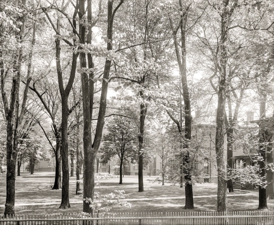 Photo showing: Bois de Bourgeois -- Detroit circa 1906. Residences on Jefferson Avenue.