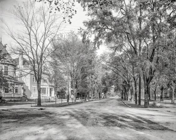Photo showing: Greene Day -- 1903. Greene Street, Augusta, Georgia.
