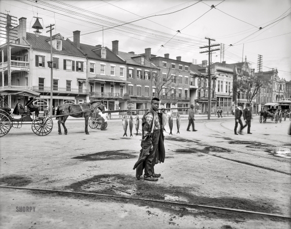 Photo showing: Fish for Sale -- Augusta, Georgia, 1903. A Southern fish vender.