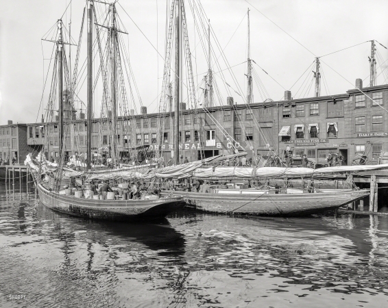 Photo showing: New England Fish Inc. -- 1904. Fisher schooners at 'T' wharf, Boston. George H. Lubee at left.
