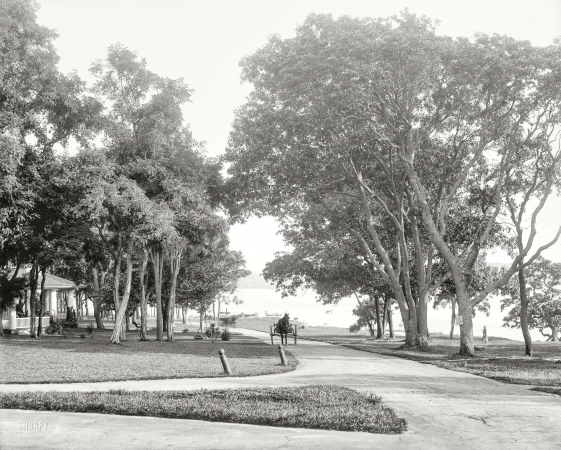 Photo showing: Idyllic Isle -- Circa 1904. Sylvester Avenue, Manhanset Manor, Shelter Island, N.Y.