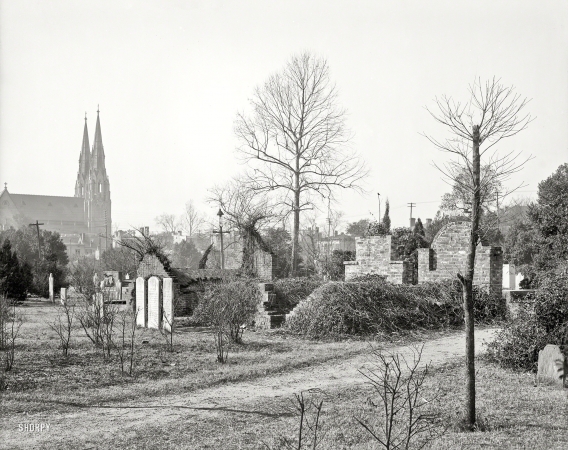 Photo showing: The Plot Thickets -- Savannah, Georgia, circa 1904. Colonial Park Cemetery.