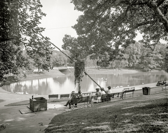 Photo showing: Urban Oasis -- 1905. In Roger Williams Park -- Providence, Rhode Island.