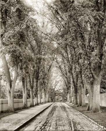 Photo showing: Dead End. -- Circa 1905. Cemetery Avenue, Springfield, Mass.