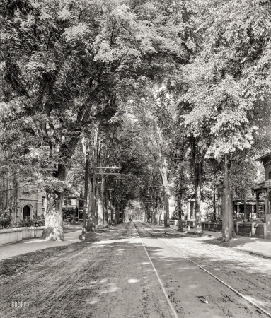 Photo showing: Leafy Keene -- Keene, New Hampshire, circa 1905. West Street.