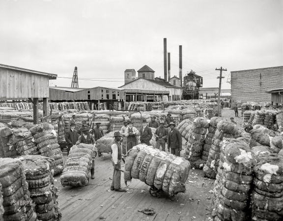 Photo showing: The Cotton Docks -- Norfolk, Virginia, circa 1905. Weighing cotton on the docks.