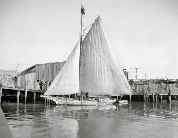 Photo showing: Cecil May -- Circa 1905. An oyster lugger (probably in Virginia).
