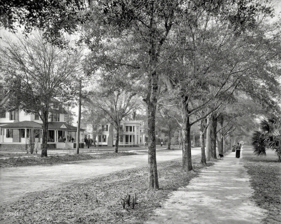 Photo showing: New York Avenue -- DeLand, Florida, circa 1905. New York Avenue.