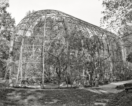 Photo showing: Great Flying Bird Cage -- Circa 1906. Great flying bird cage, zoo park, Washington, D.C.