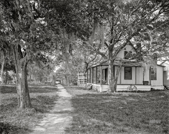 Photo showing: Mossy Manse -- Circa 1905. Ormond, Florida -- Cottage at Santa Lucia Plantation.