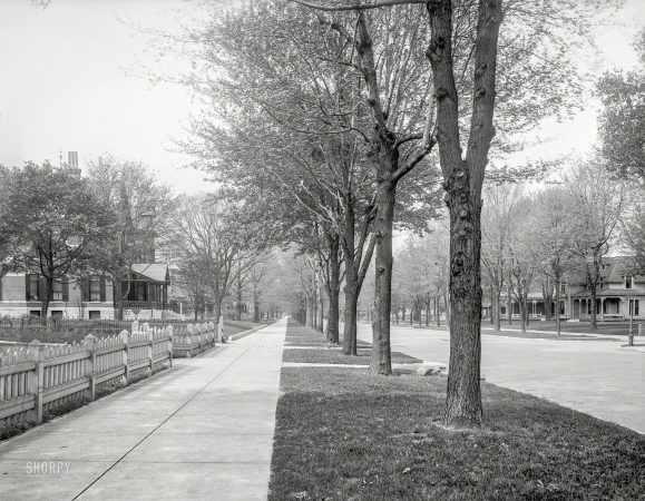 Photo showing: Street of Trees -- Indianapolis circa 1904. North Delaware Street.