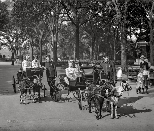 Photo showing: Caprine Caper -- New York circa 1904. Goat carriages in Central Park.