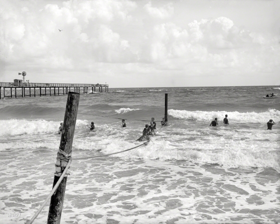 Photo showing: On the Ropes -- Florida circa 1904. Surf bathing at Palm Beach.