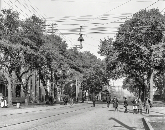 Photo showing: Government Street. -- Mobile, Alabama, circa 1906.
