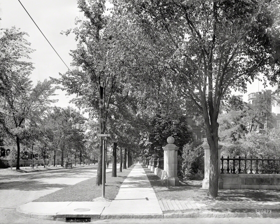 Photo showing: Trumbull at Brainard -- Detroit circa 1900. View looking north along Trumbull Avenue at Brainard Street.