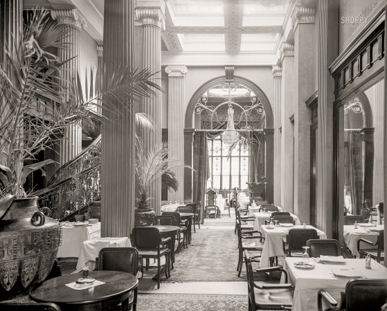 Photo showing: Palm Court Cafe -- New York circa 1903. Hotel Gregorian -- Palm Court Cafe.