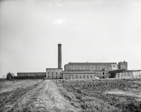 Photo showing: Michigan Sugar -- 1908. Michigan Sugar Co., Saginaw. Processor of sugar beets.