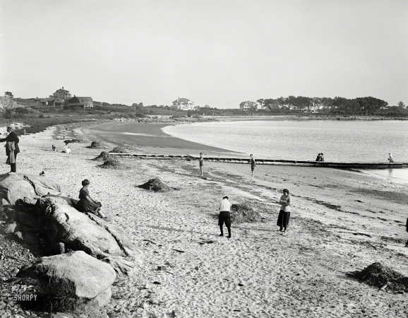 Photo showing: Shore Birds -- East Gloucester, Massachusetts, circa 1910. Niles Beach.
