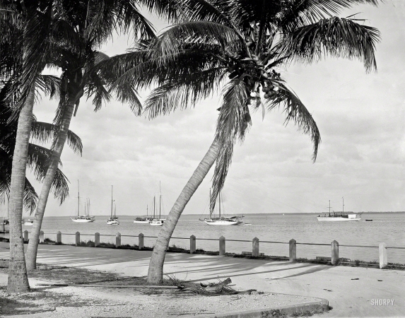 Photo showing: Biscayne Bay II -- Miami, Florida, circa 1912.