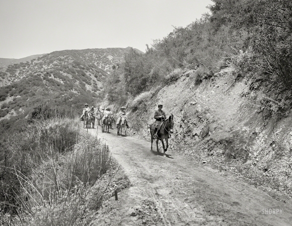 Photo showing: Trail Ride -- California (?) circa 1912. On the trail.