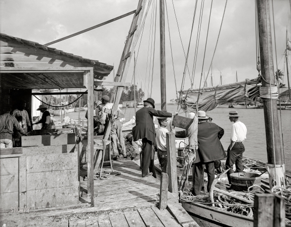 Photo showing: Old Miami River -- Circa 1900. Miami, Florida, fish docks along the Miami River.