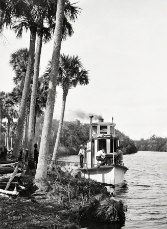 Photo showing: Jupiter Narrows -- Along Florida's Indian River circa 1890. Wood landing in Jupiter Narrows.