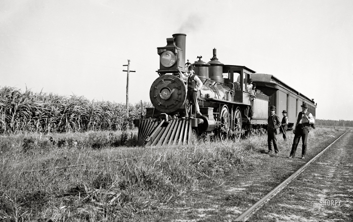 Photo showing: The Cane Train -- Circa 1897. Cane fields in Louisiana.