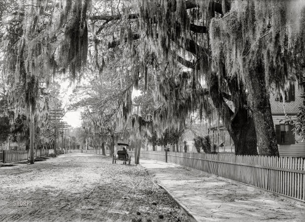 Photo showing: Summerville -- 1906. Sumter Avenue, Summerville, South Carolina.