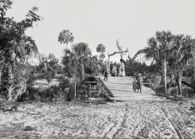 Photo showing: Alligator Creek -- Florida, 1894. Bridge on Alligator Creek.