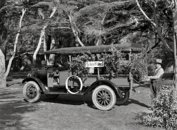 Photo showing: A Bush in the Hand -- San Francisco circa 1920. REO Speedwagon truck -- MacRorie-McLaren Co. nursery.