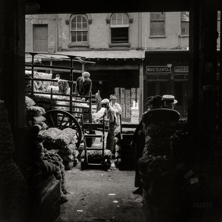 Photo showing: Moose Celery Co. -- New York circa 1934. New York City views. Wholesale market in lower Manhattan.