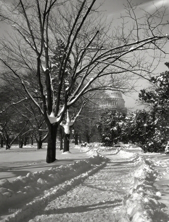 Photo showing: Snow Dome -- Washington circa 1935. U.S. Capitol exteriors. Dome of Capitol and park in winter.