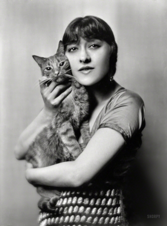 Photo showing: Bright Eyes -- 1916. Dolly sister with Buzzer the cat, portrait photograph.