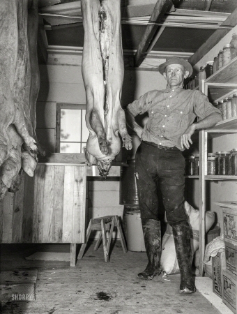 Photo showing: When Pigs Fly -- December 1936. C.D. Grant in storehouse on his farm at Penderlea Homesteads, North Carolina.