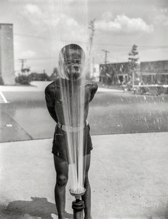 Photo showing: Wetted Bliss -- June 1942. Washington, D.C. Frederick Douglass housing project in Anacostia. Playing in the community sprayer.