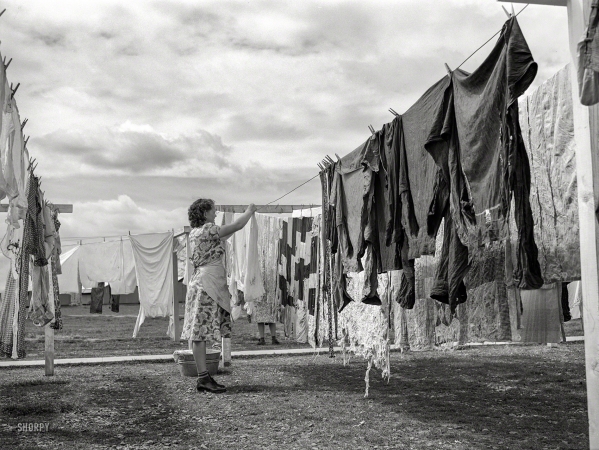 Photo showing: Three Shirts to the Wind -- March 1940. Woman hanging clothes to dry. Tulare migrant camp. Visalia, California.