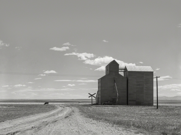 Photo showing: Big Sky. -- May 1939. Grain elevators on Henry Sheffels' 6,000-acre wheat ranch. Cascade County, Montana.