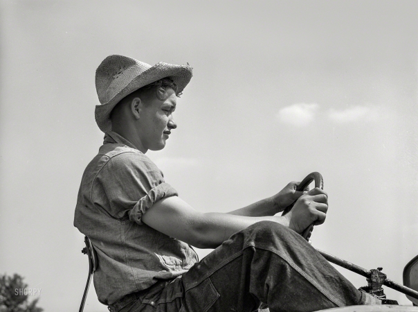 Photo showing: Future Farmer -- September 1939. Bud Kimberley, a future farmer of America, driving a tractor. Jasper County, Iowa.