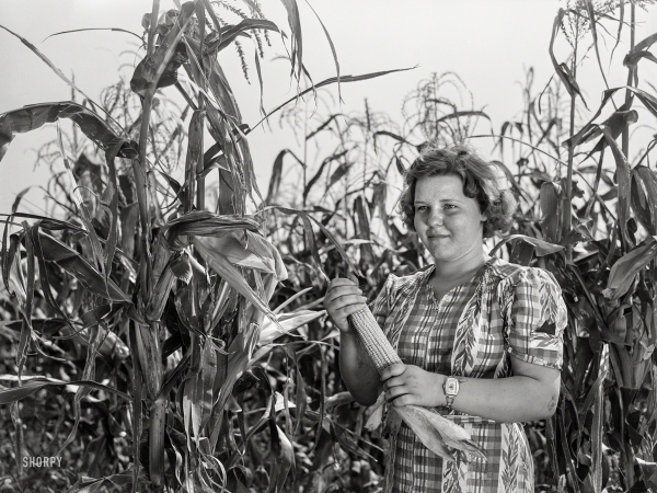 Photo showing: Corn Club -- September 1939. Margaret Kimberley, 4-H Club girl. Jasper County, Iowa.