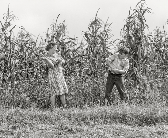 Photo showing: Corn Fight! -- September 1939. Kimberley farm, Jasper County, Iowa. Corn fight between Margaret and Howard Kimberley.