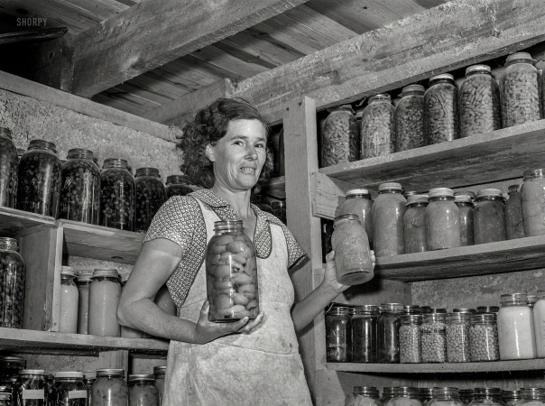 Photo showing: Jars of Plenty -- November 1939. Mrs. Lawrence Corda, wife of tiff miner, with some of her
800 quarts of food canned under FSA supervision. Washington County, Missouri.