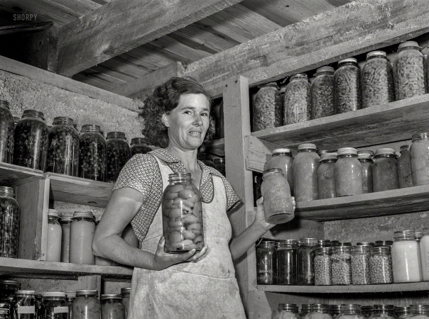 Photo showing: Jars of Plenty -- November 1939. Mrs. Lawrence Corda, wife of tiff miner, with some of her
800 quarts of food canned under FSA supervision. Washington County, Missouri.